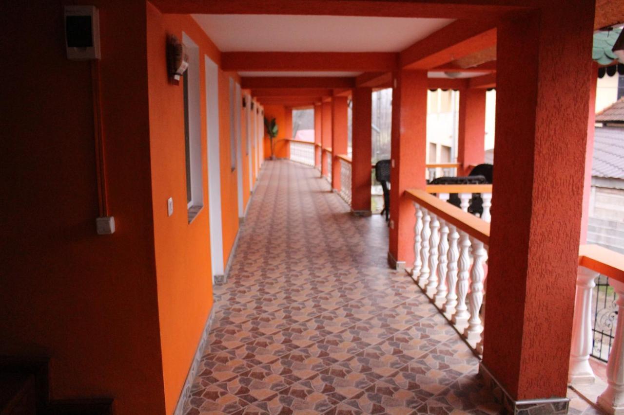 Pensiunea Anisoara Chiscau المظهر الخارجي الصورة